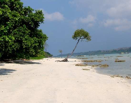 Casurina Beach, Diglipur - Andaman And Nicobar Islands: Get the Detail ...