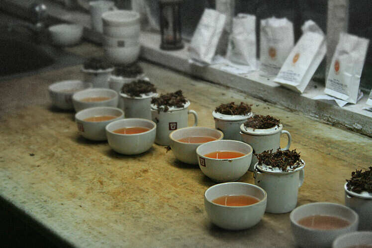 Sip fresh Darjeeling tea