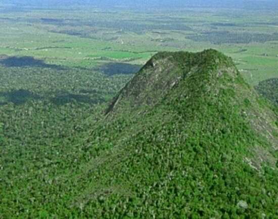 Discovery Coast Atlantic Forest Reserves