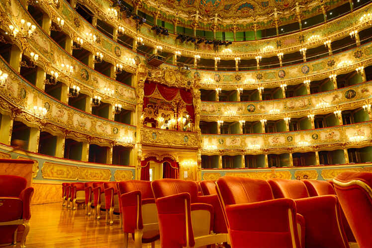 Attend grand musicals