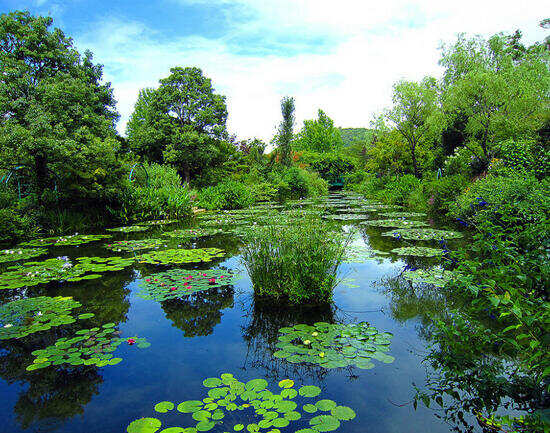 Monet's Garden