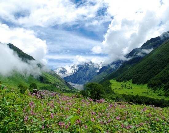 Valley of Flowers