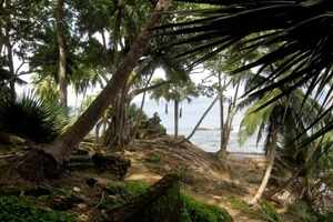 Choosing a hotel in the Andamans