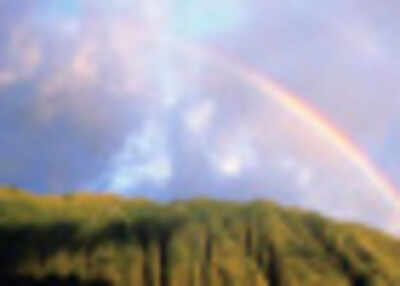 Power of grace light - The Times of India