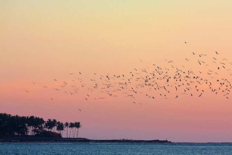 Konkan Coast