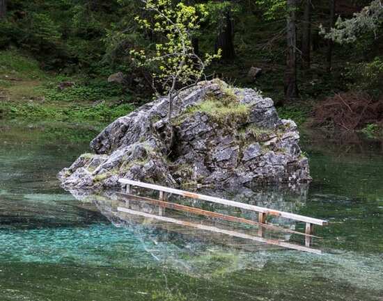 Gr&uuml;ner See: a park that turns into a lake during summers