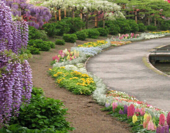 Ashikaga Flower Park, Japan
