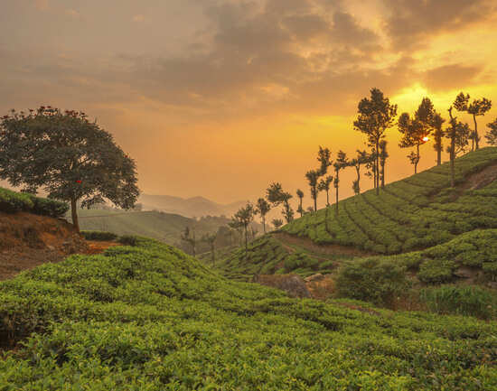 When it rains, it pours in South India