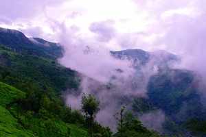 Hotels In Coonoor | Coonoor Hotels That Offer A Charming Stay | Times ...