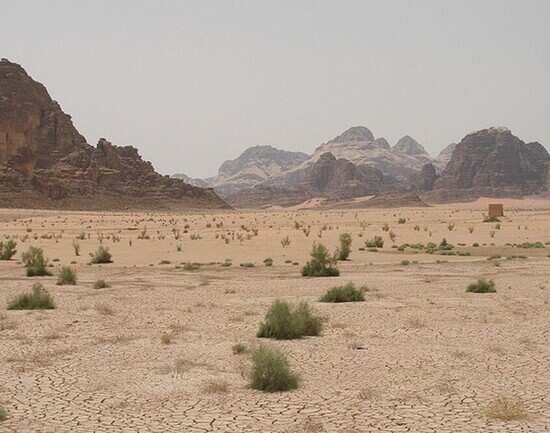 Organic farming in the deserts of Wadi Rum