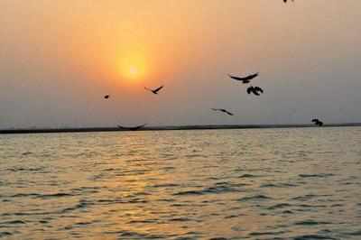 River Ganga to be developed as major tourist destination and navigation corridor