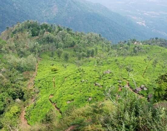 Enjoying the outdoors in Coonoor