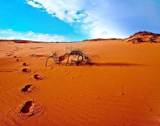 Deserts that are not really deserts