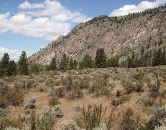 Osoyoos Desert