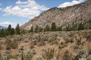 Osoyoos Desert