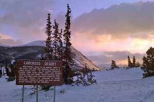 Carcross Desert