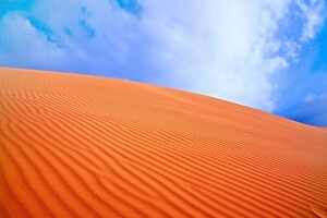 Oleshky Sands
