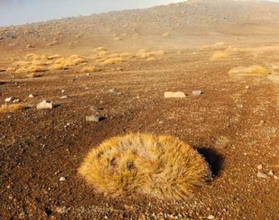 Rangipo Desert in New Zealand TimesTravel