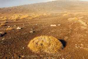 Rangipo Desert