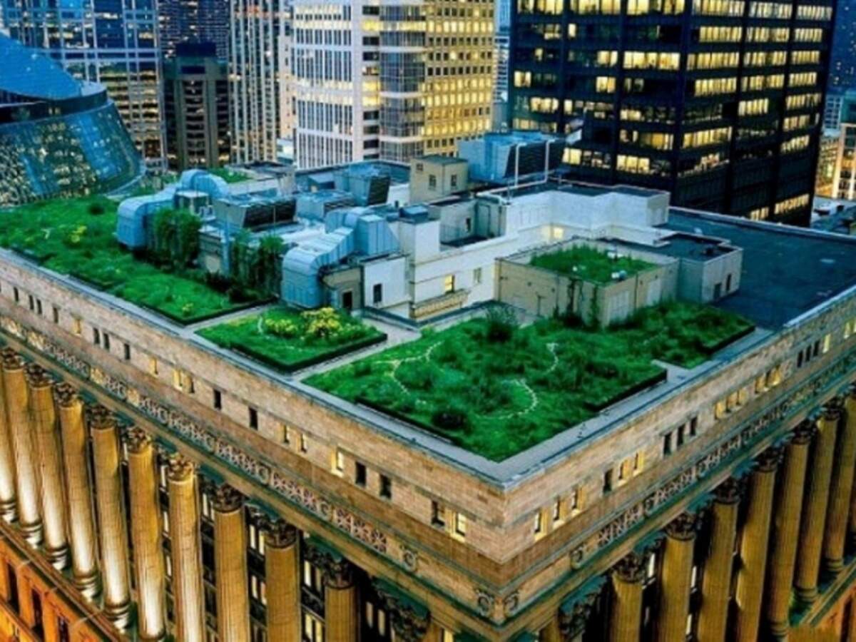Chicago City Hall Rooftop Garden Chicago Rooftop Sightseeing Times