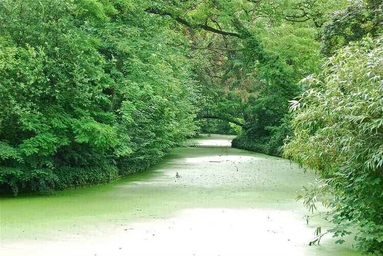 Calm and serene Mechelen