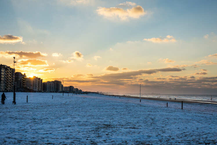 Sunbathing and surfing on the Belgian coast