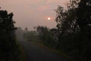 The wild side of Goa