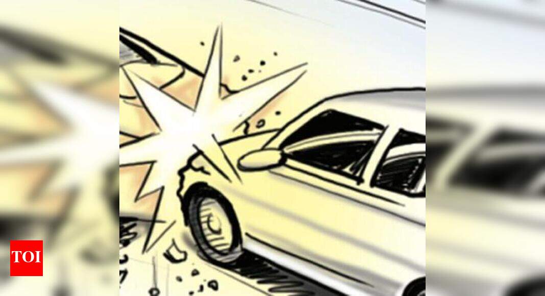 Three members of Indian-American family killed in US car crash - Times ...