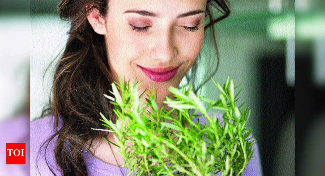 Include herbs to get sundry benefits Times of India