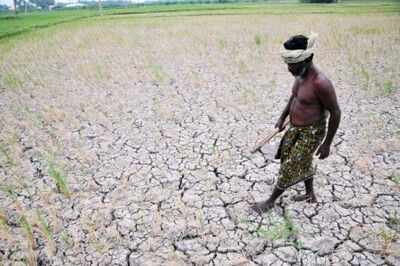 163 large and medium irrigation projects delayed: Centre