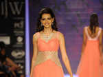 IIJW '14: Surya Golds