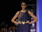 IIJW '14: IIGJ Jaipur