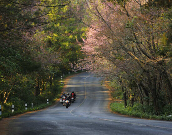 Places To Visit Near Ahmedabad For Long Breaks | TimesTravel