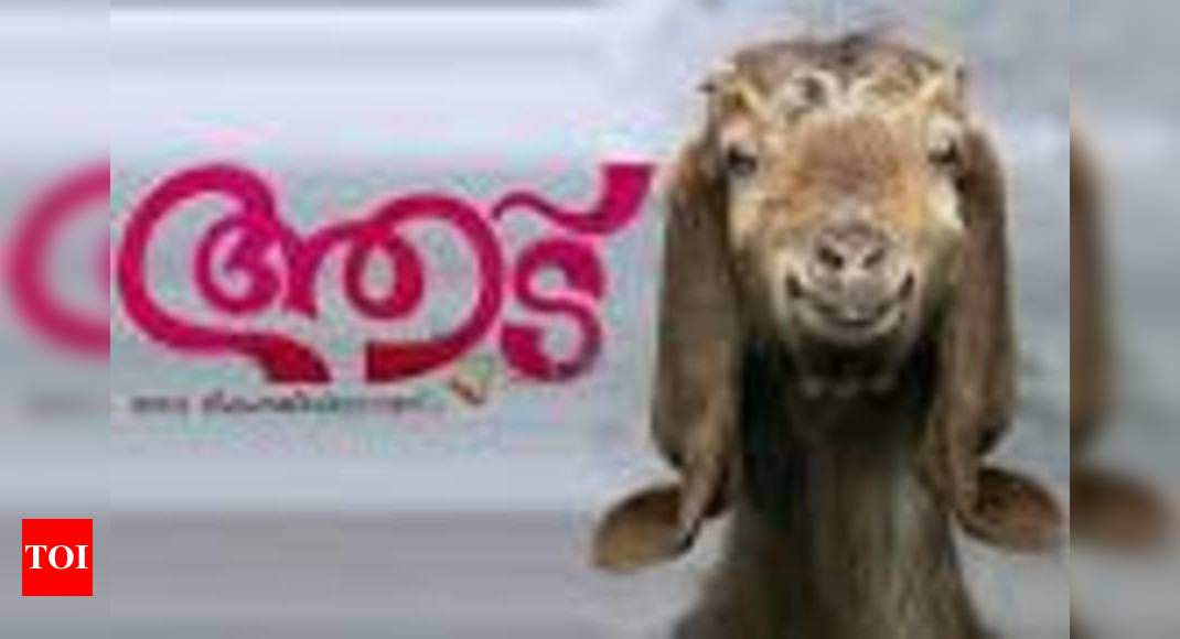 jayasurya-is-looking-for-a-goat-malayalam-movie-news-times-of-india