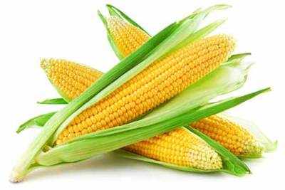 Health benefits of corn