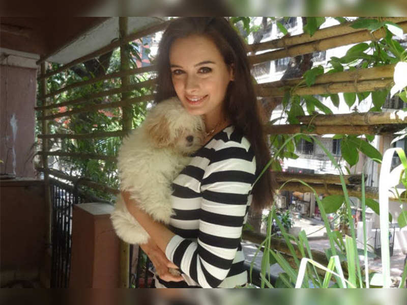 Evelyn Sharma gets some puppy love!