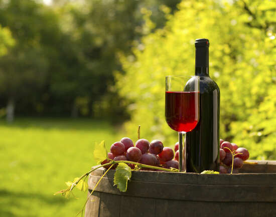 A trip to Nashik&rsquo;s best vineyards