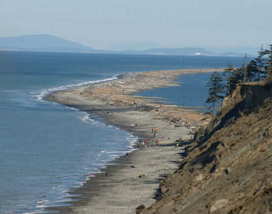Dungeness Spit