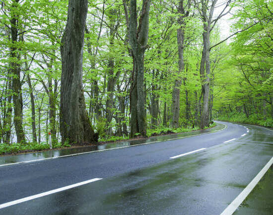 Weekend getaways near Ahmedabad