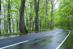 Weekend getaways near Ahmedabad