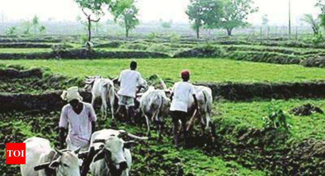 Aquaponics farming in tamil 