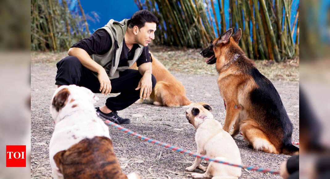 It S Not A Dog S Life After All Hindi Movie News Times Of India hindi movie news