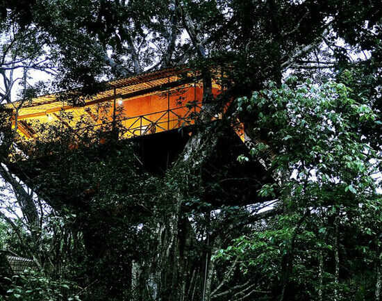 Vythiri Resort, Wayanad