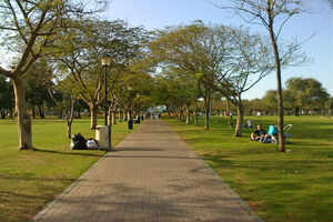The most popular parks in Dubai