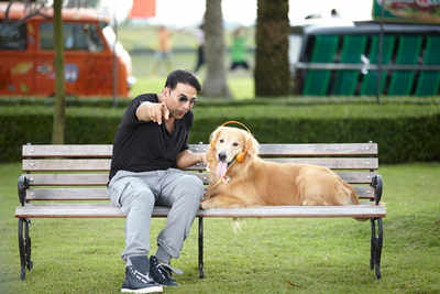 Entertainment: Akshay Kumar enjoyed working with 100 dogs