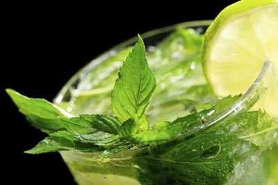 5 herbs that can add flavour to any juice