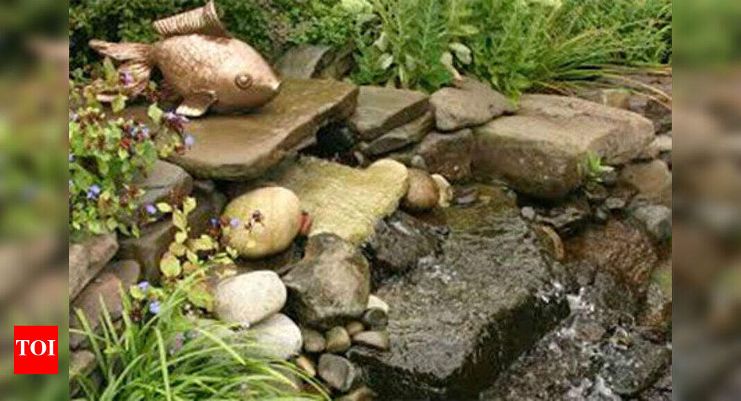 How To Create A Perfect Zen Garden Times Of India