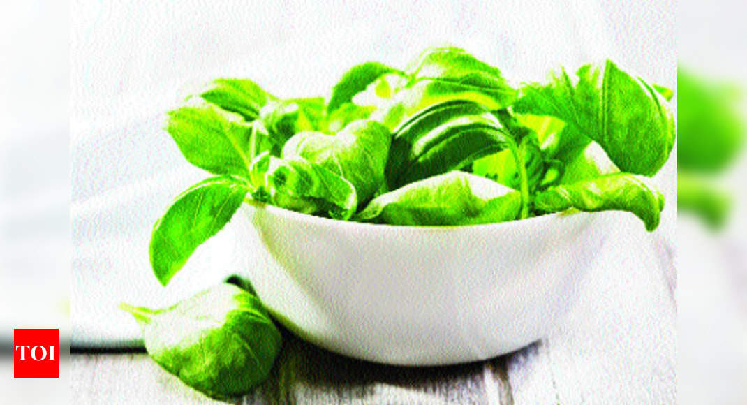 Different ways to use the amazing basil leaves Times of India