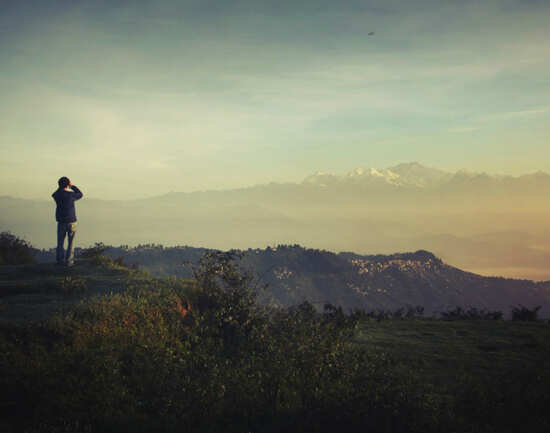 Darjeeling on a budget