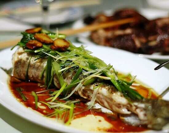Fish Fish